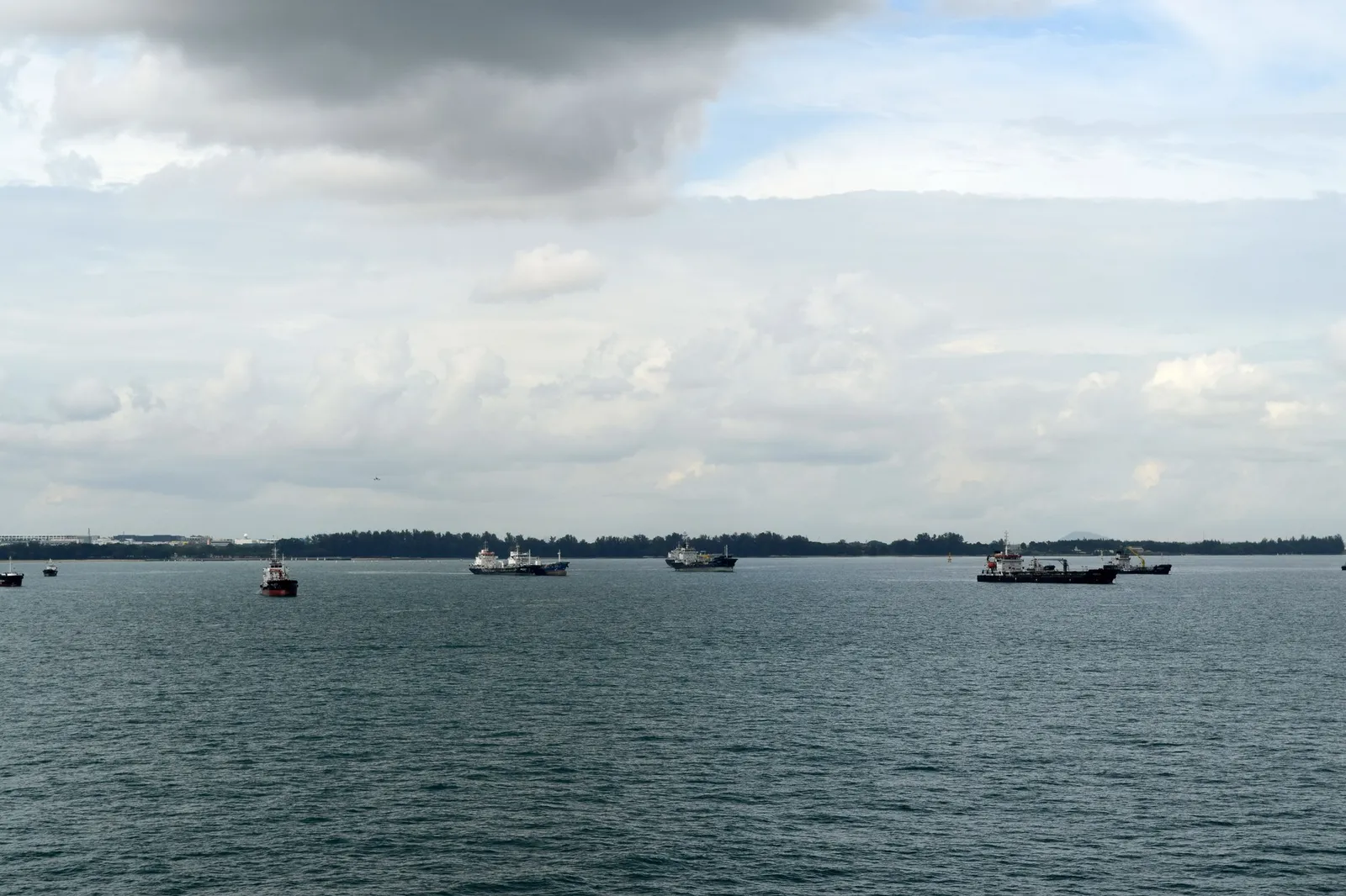 Several merchant ships at anchor in calm water off Singapore under a cloudy sky.