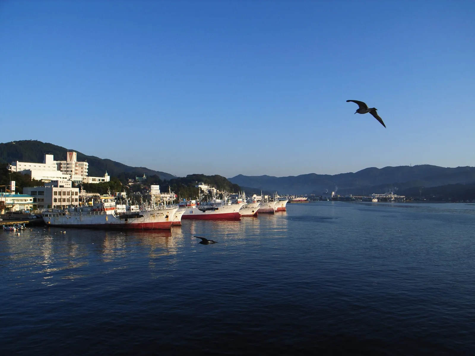 Fishing boats moored at Kesennuma fishing port in Japan on a clear morning.