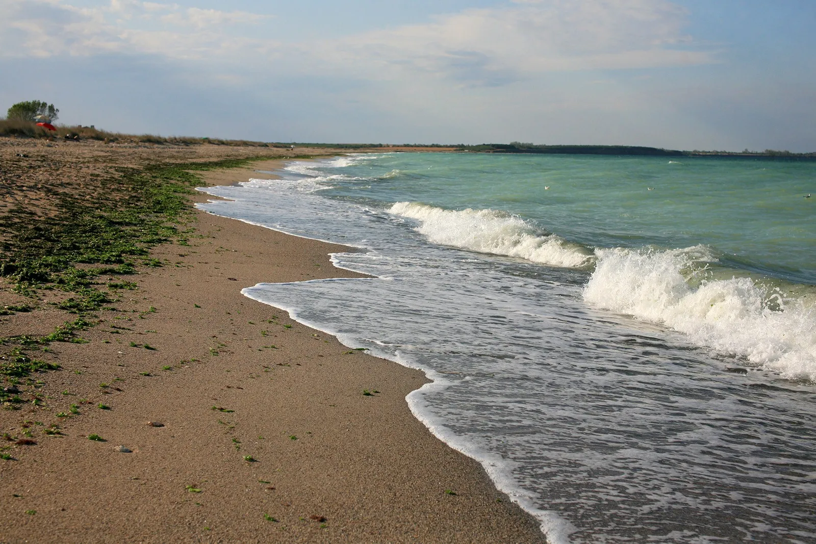 Empty sandy beach with waves on the Black Sea coast at Krapets, Bulgaria.